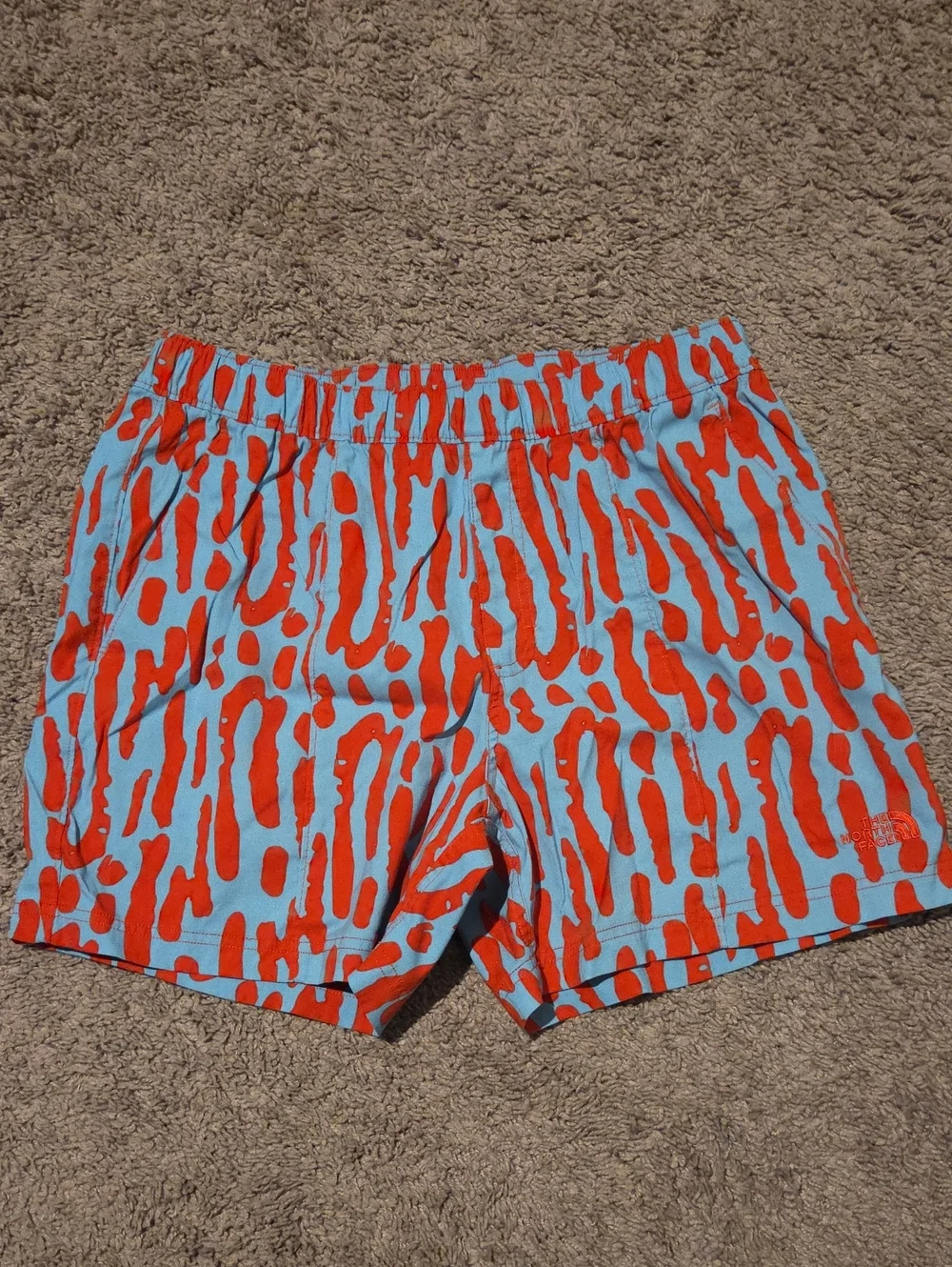 The North Face Men's Printed Class V Pull-On Shorts